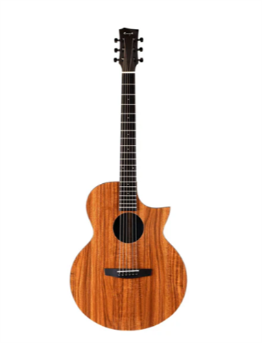 Đàn Guitar Acoustic Enya EA X1C